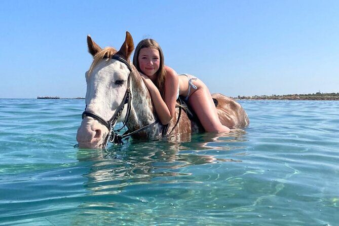 3 Hours Swimming By Horse in Red Sea Riding on the Beach and Dessert - Hurghada - The Value of the Experience