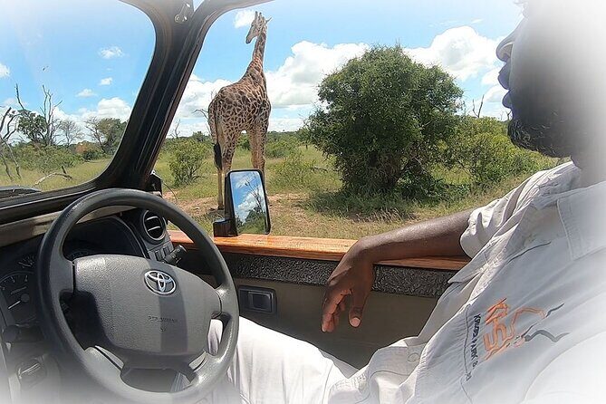 3 Night & 4 Day Private Kruger Park Safari - The Value of a Private Safari