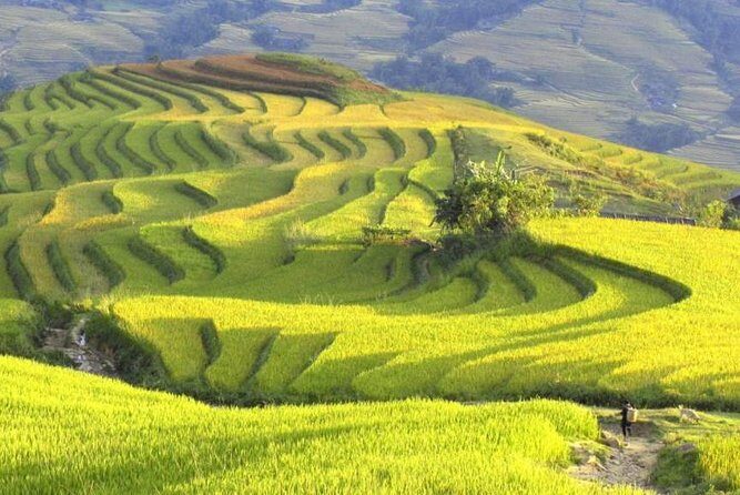 3-Night Sapa Trek and Homestay with Round Trip Transfer from Hanoi - First Impressions: Sapa and Y Linh Ho