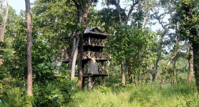 3 Nights 4 Days: Chitwan National Park with Tower Night Stay - The Value of the Tour