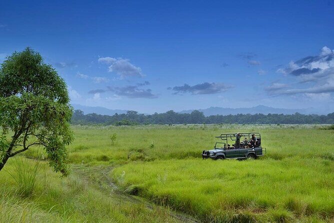 3 Nights 4 Days Chitwan National Park with Tower Night Stay - What Travelers Say: Authentic Perspectives