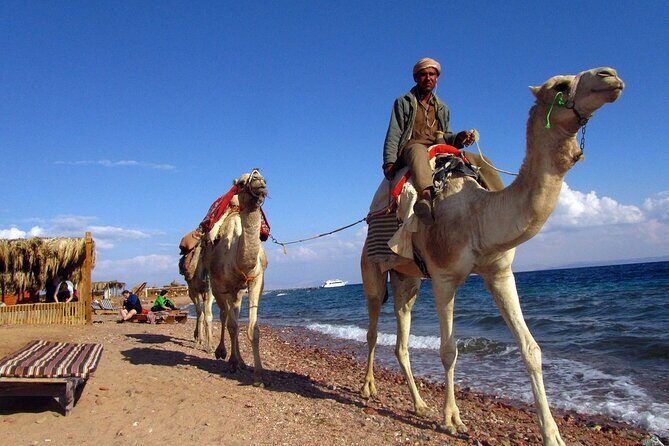 3 Pools National Park and Dahab With Ride Camel _ Sharm El Sheikh - Authenticity and Authentic Experiences