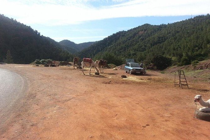 3 Valleys & Atlas Mountains Day Trip From Marrakech - The Sum Up