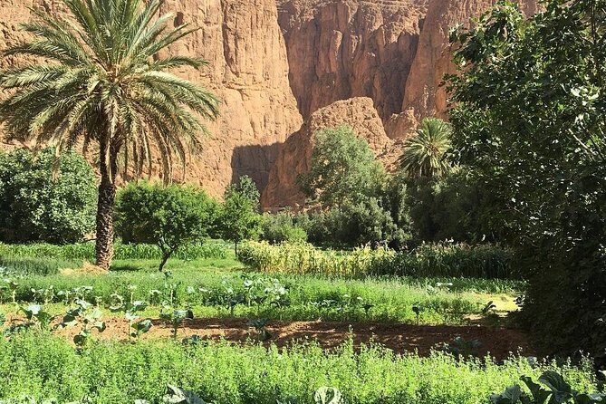 3 Valleys Excursion From Marrakech - Final Thoughts