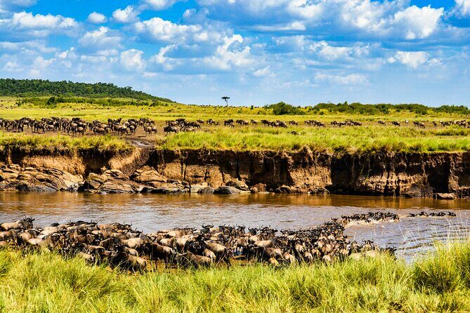 3days/2nights group joining Masai Mara with Masai Village Visit - Why This Tour Offers Great Value