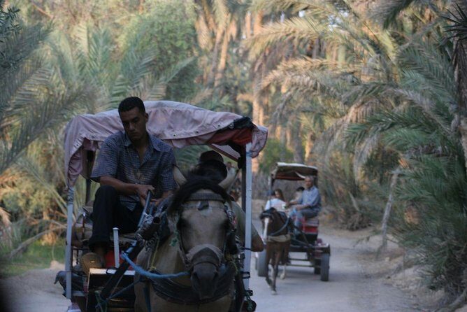 3DAYS 4x4 safari from Sousse/Hammamet/Tunis 100km deep in desert camp - Authenticity and Value