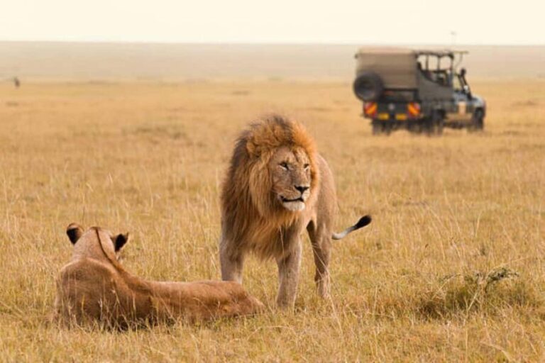3Days Group Joining Safari to Maasai Mara from Nairobi - The Itinerary: Day-by-Day Breakdown