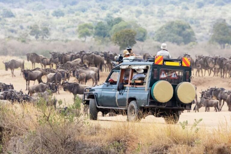 3Days Masai Mara & Naivasha Boat ride Group Joining Camping - What’s Included and What’s Not