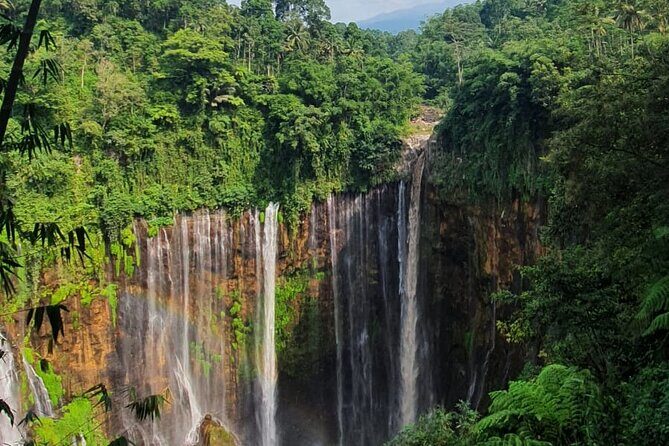 3Days - Tumpaksewu Bromo Ijen Adventure via Malang - Practical Tips for Travelers
