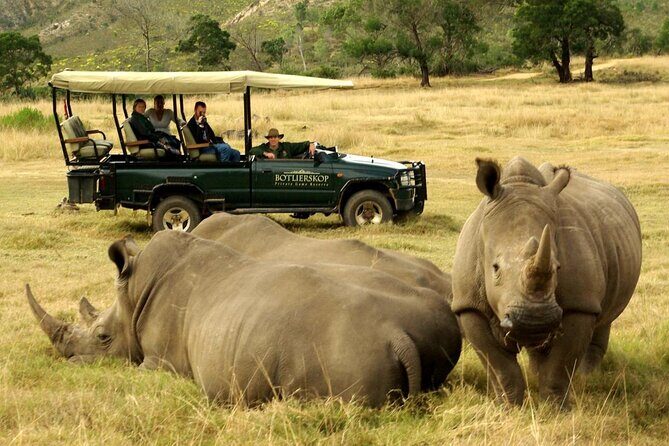 4 Day Garden Route Luxe Selection Micro Group Tour from Cape Town - Who Should Consider This Tour?
