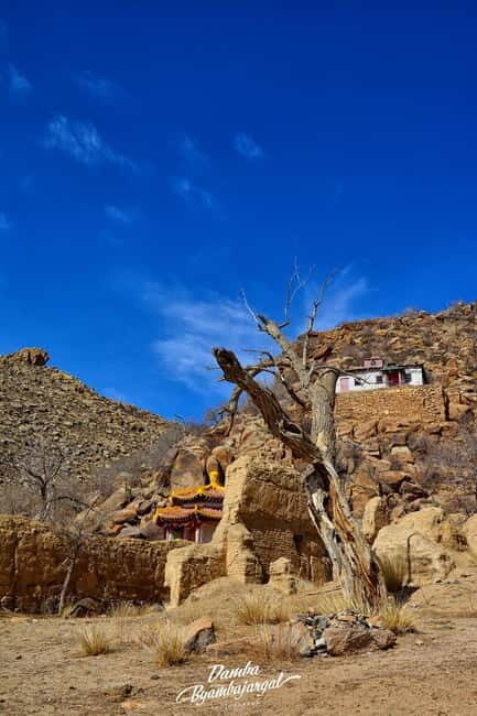 4 day Gobi in express short time - Final Thoughts: Is This Tour Right for You?