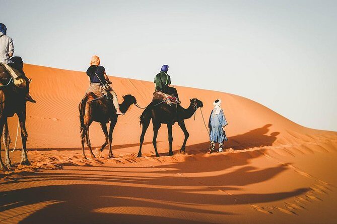 4-Day Guided Desert Tour from Marrakech - Who Should Consider This Tour?