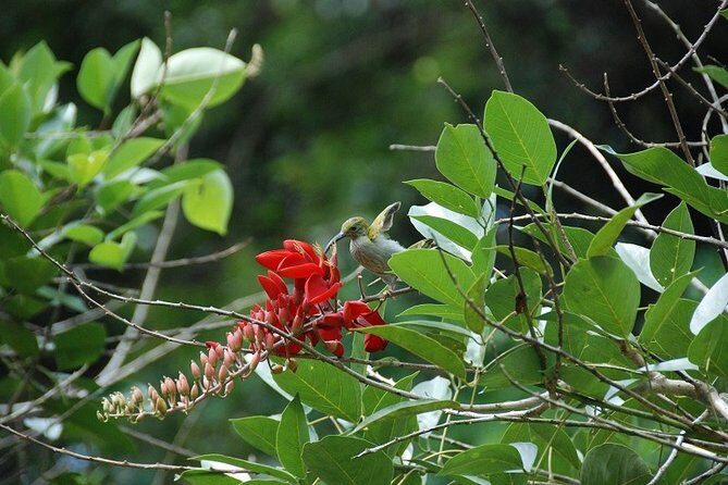 4-Day Jungle Experience in Taman Negara from Kuala Lumpur - Day 1: Night Jungle Walk