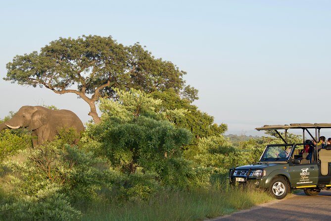 4-Day Kruger Park Safari & Panoramic Tour Combo including Breakfast and Dinner - Frequently Asked Questions