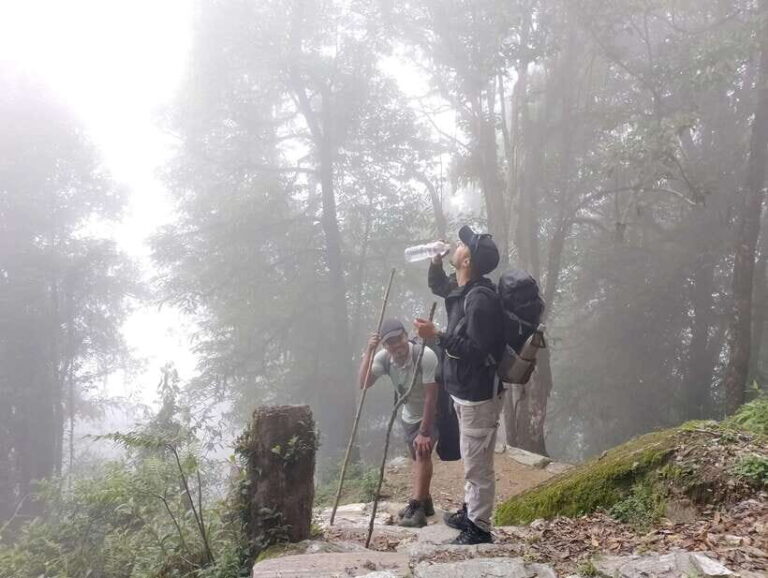 4 Day Mardi Himal Trek with 2 Day Chitwan Jungle Safari Tour - Practical Details and Value