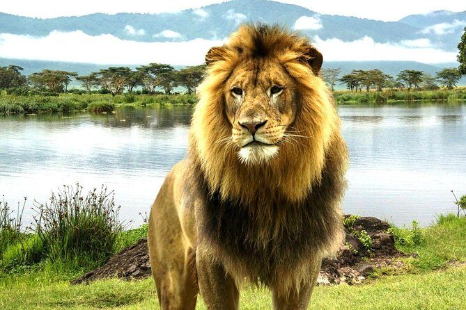 4 Day Masai Mara & Lake Nakuru Group Joining Camping Safari - Daily Departures - Why This Safari Offers Real Value