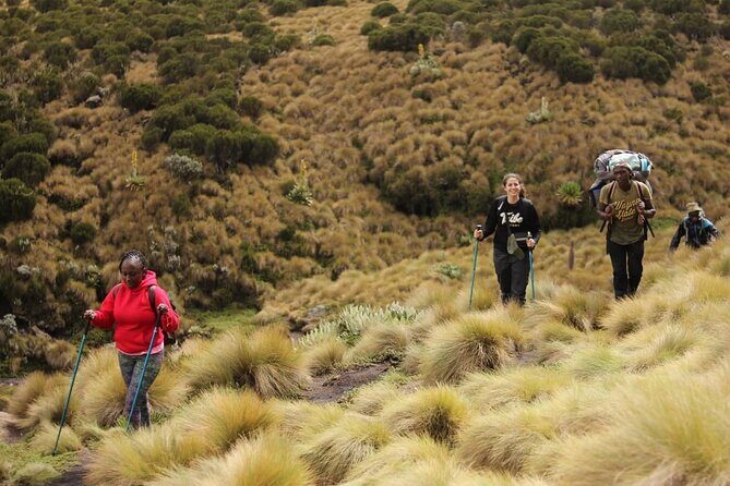 4-Day Mount Kenya Trekking with Pick Up - Guides, Support, and Authenticity