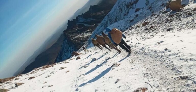 4-Day Mount Meru Climbing Tour-Tanzania (Departing - Arusha) - A Comprehensive Look at the Mount Meru Climbing Experience