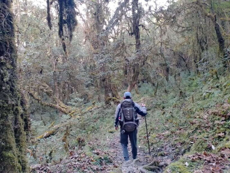 4-Day Mulde ,Poon Hill Trek Itinerary (Children-Friendly) - What’s Included and What to Consider