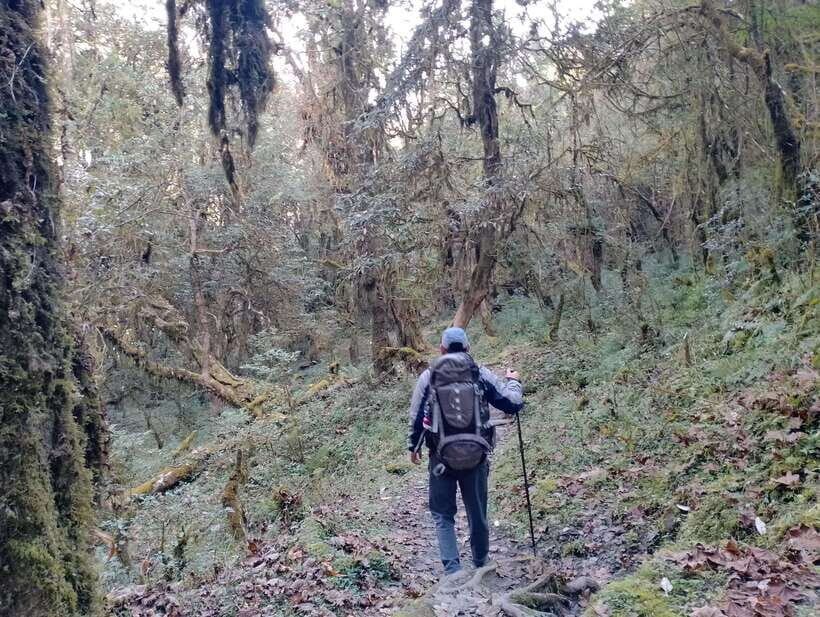 4-Day Mulde ,Poon Hill Trek Itinerary (Children-Friendly) - What’s Included and What to Consider