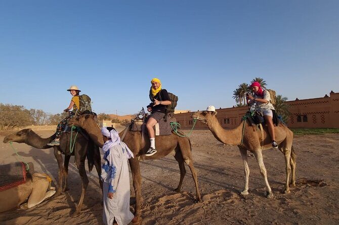 4-Day Private Desert Tour from Fes To Marrakech - What Makes This Tour Stand Out?