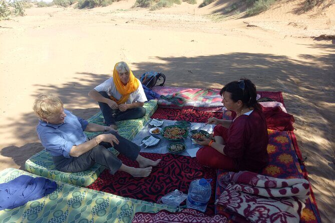 4 Day Private Desert Trek from M'Hamid to Chegaga - The Experience Through the Eyes of Past Travelers