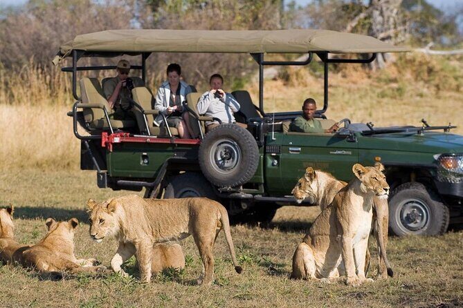 4 Day Private Garden Route Safari from Cape Town - Key Points