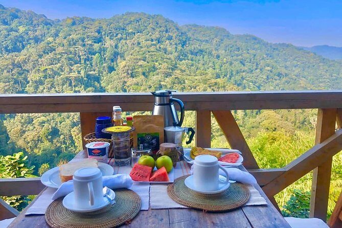 4-Day Private Tour in Bwindi Forest National Park - What the Tour Gets Right