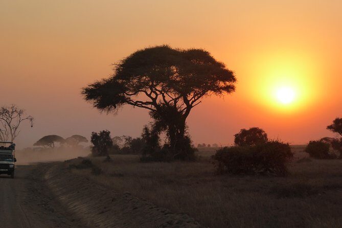 4-Day Safari: Lake Manyara, Serengeti & Ngorongoro - Day-by-Day Breakdown: What You’ll See and Do