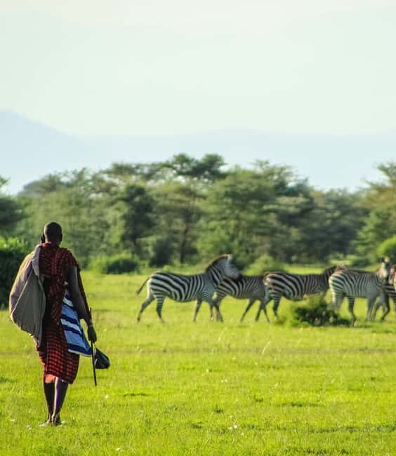 4-Day Safari - Accommodation and Meals