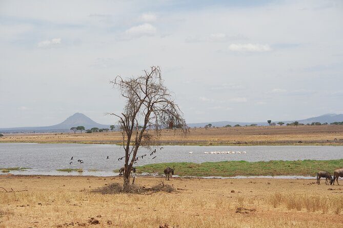 4-Day Shared Safari Tour with Complete Meals - Transportation and Group Size
