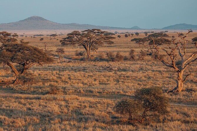 4-Day |Sharing Safari, Tarangire, Serengeti, Ngorongoro - What Travelers Say