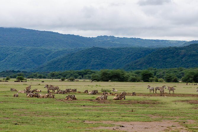 4-day Tanzania Safari - About the Itinerary: A Day-by-Day Breakdown