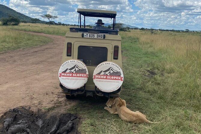 4-Day Tarangire Serengeti, Ngorongoro & Maasai Guided group tour - What You’ll Experience: An In-Depth Breakdown