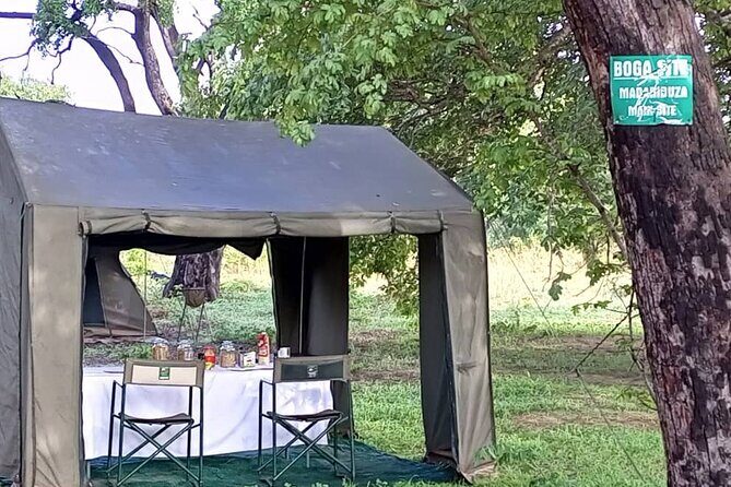 4 Days 3 Nights Savuti Mobile Camping Safari - Practical Details and Considerations
