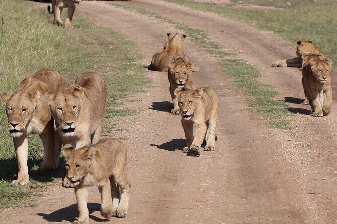 4 Days 3 Nights Tanzanian Budget Safari Tour - The Itinerary Breakdown