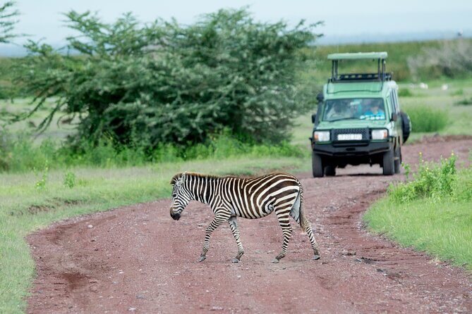 4 days adventure camping safari - What Sets This Safari Apart?