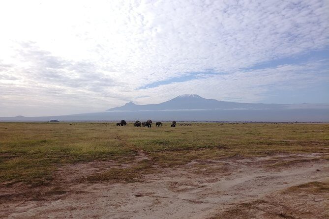 4 Days Amboseli & Tsavo West Wildlife Safari - An Honest Look at the Itinerary
