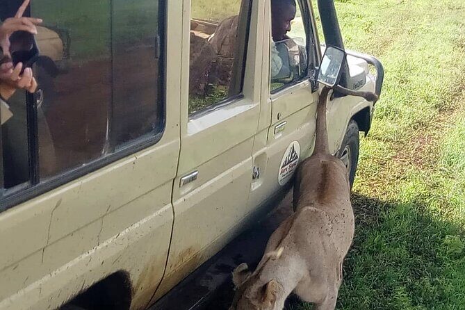 4 Days Big 5 Tour & Cultural Experience - A Complete Breakdown of the 4-Day Safari Experience