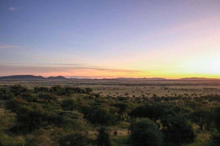 4 Days, Countless Adventures - Day 1: From Arusha to Tarangire via Lake Manyara