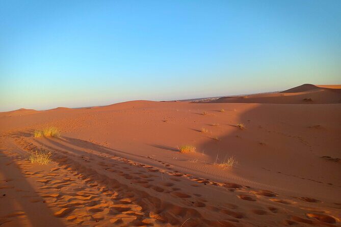 4 Days Desert Tours from Marrakech to Merzouga - Day 3: From Merzouga to Dades Valley