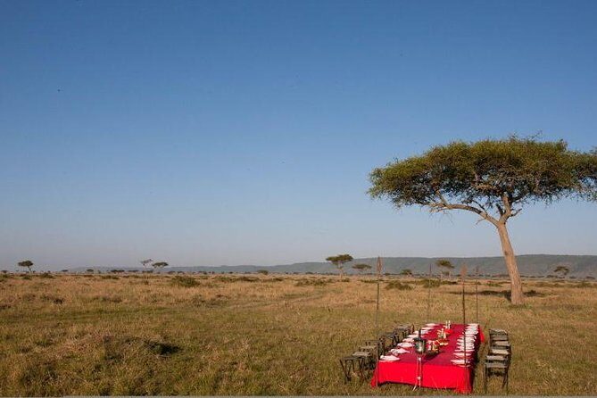 4 Days Enthralling Safaris in Kenya-lake Nakuru Masai Mara - What Sets This Tour Apart?