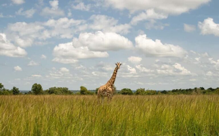 4 Days Exclusive Group Camping Safari - FAQ