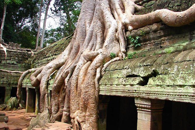 4 Days Expedition From Bangkok to Angkor Wat - Who Will Love This Tour?