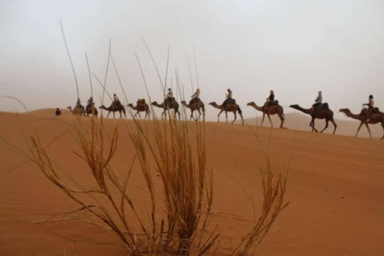 4 Days From Marrakech to Fes Via Merzouga Sahara Tour - Who Will Enjoy This Tour?