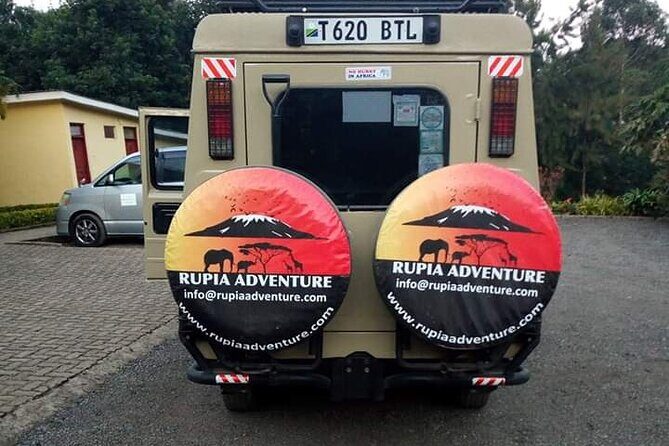 4 Days Kenya Safari - Practical Considerations and Value