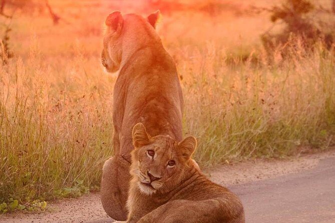 4 days Kruger Park Big 5 Safari and Awesome Panorama Route - What’s Included and What’s Not