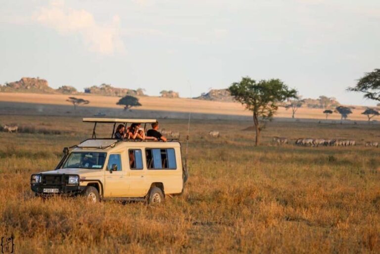 4 Days Magical Adventure to Manyara, Ngorongoro & Serengeti - How Does It Compare in Value?