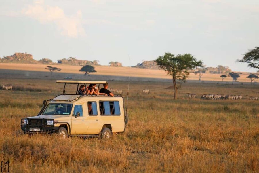 4 Days Magical Adventure to Manyara, Ngorongoro & Serengeti - How Does It Compare in Value?