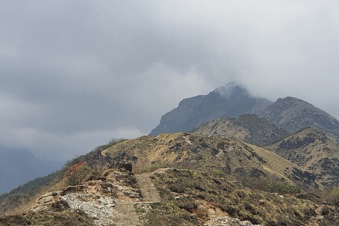 4 Days Mardi Himal Base Camp Trek from Pokhara - Day 3: Reaching Mardi Himal Base Camp & Descending